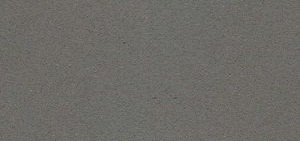 Gris Expo