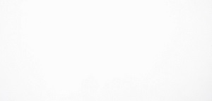 Blanco Icon